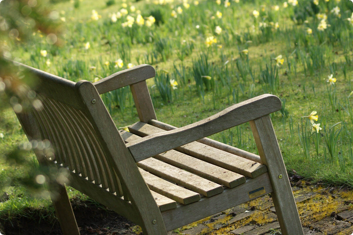 A quiet bench in a peaceful park surrounded by spring greenery A quiet bench in a peaceful park surrounded by spring greenery
