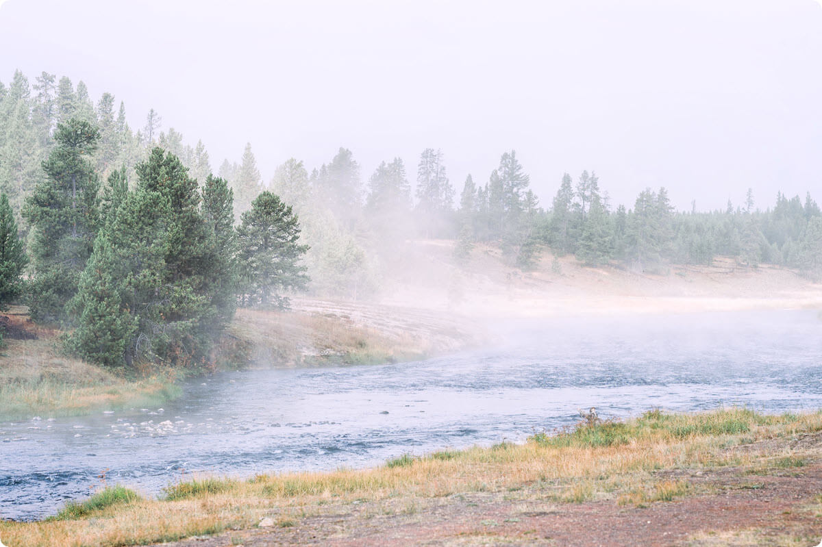Misty river flowing gently through a quiet forest Misty river flowing gently through a quiet forest